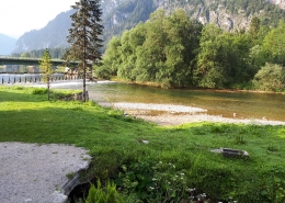 Goiserer Traun Fliegenfischen