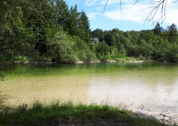 Goiserer Traun Fliegenfischen