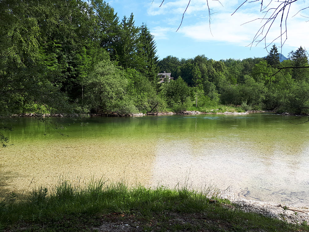 Fliegenfischen Goiserer Traun Austria Guiding