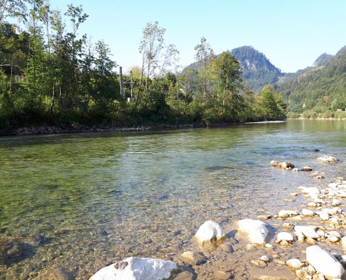 Ischler Traun Fliegenfischen