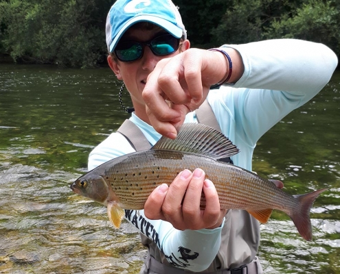 Ischler Traun Fliegenfischen