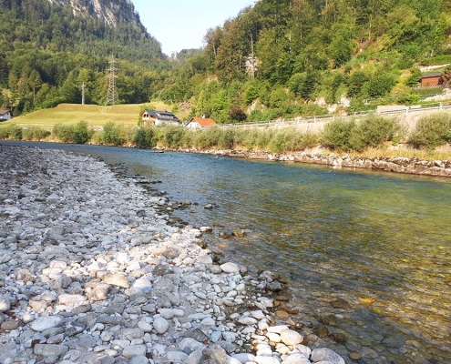 Ischler Traun Fliegenfischen