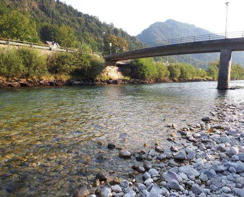 Ischler Traun Fliegenfischen