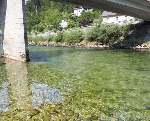 Ischler Traun Fliegenfischen