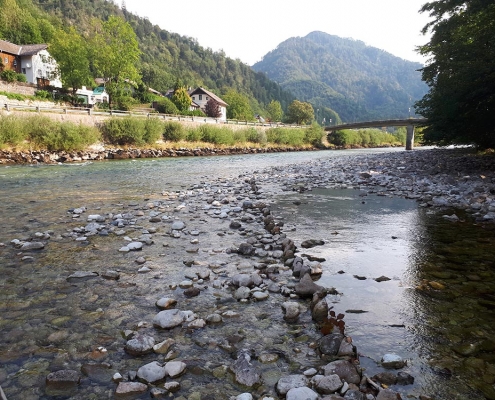 Ischler Traun Fliegenfischen