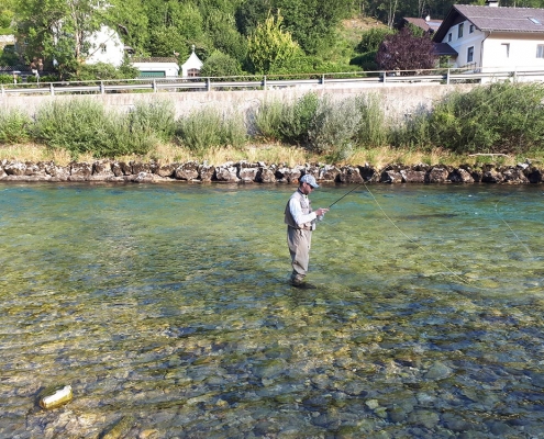 Ischler Traun Fliegenfischen