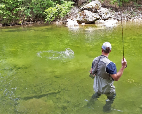 Rettenbach Fliegenfischen Austria Guiding