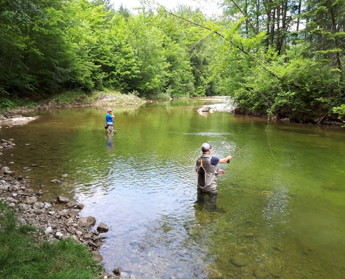 Rettenbach Fliegenfischen Austria Guiding