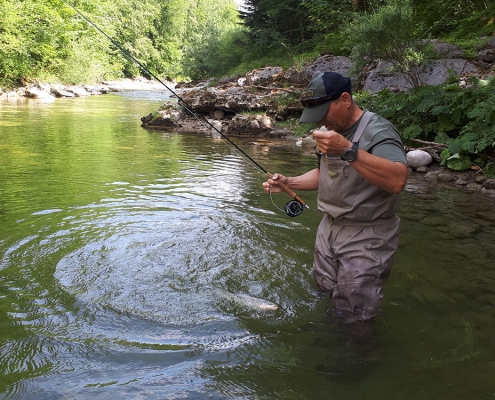 Rettenbach Fliegenfischen Austria Guiding