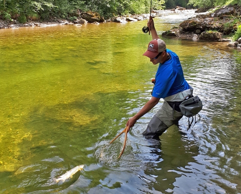 Rettenbach Fliegenfischen Austria Guiding